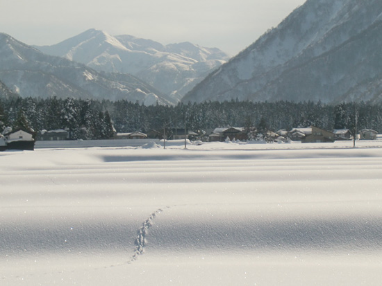 朝日岳 (群馬県)1,945m