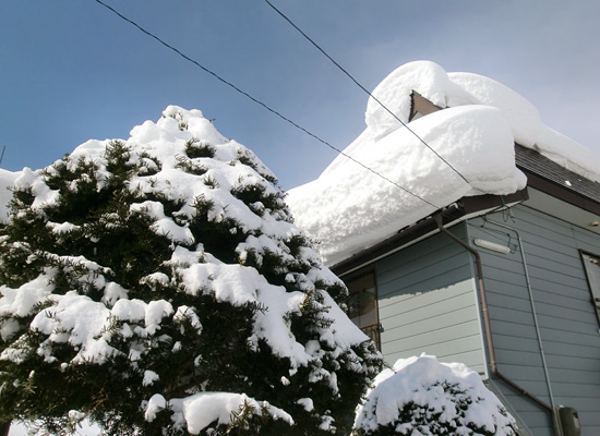 落雪屋根の『雪変化』