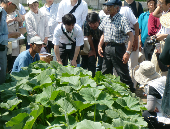 木村秋則氏 自然栽培講座 第3回（7/9）に参加