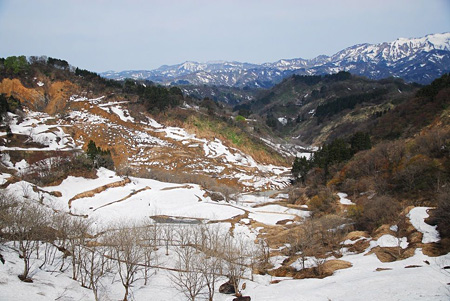 十日町市の棚田で大規模な地滑り、雪が解けて被害見つかる！