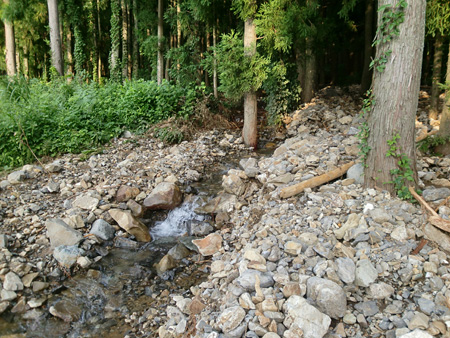 南魚沼市の水害被害について（2011.7.30）