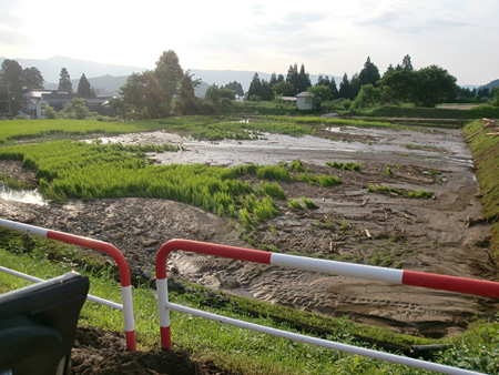 新潟・福島豪雨：深刻な農業被害　魚沼産コシヒカリも　／新潟