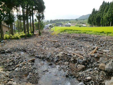 新潟・福島豪雨：深刻な農業被害　魚沼産コシヒカリも　／新潟